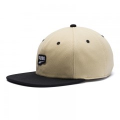 archive downtown flatbrim cap